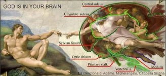 god is in your brain.jpg