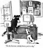 internetdog.jpg