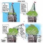 carbon neutral hahaha.jpg