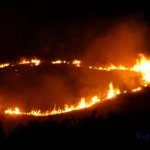 lafire3.jpg