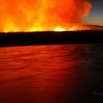 lafire4.jpg
