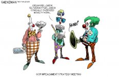 impeachment strategy.jpg