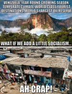 socialist consequences.jpg