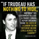 no  hiding 1.jpg