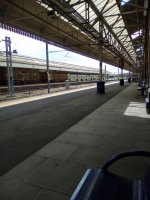 IMG_20200521_111755.jpg