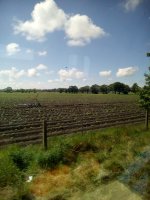 IMG_20200521_120858.jpg