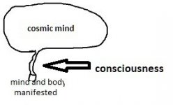 cosmic mind.jpg