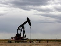 no1020oil.jpg no1020oil.jpg