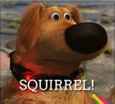 779369DF-943A-4056-B862-E21A0F1FD7D8.jpeg