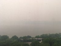 IMG_20230715_071914.jpg