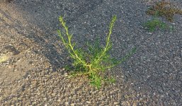 20230805_191718.jpg