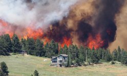 nederland-wildfire-min.jpg