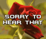1752693794260.png