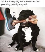 1752956529949.jpeg