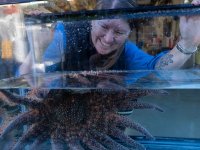 5.-alyssa-gehman-at-marrowstone-marine-field-station_photo-cour_297971635[1].jpg