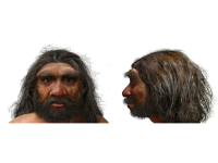 1759062747969.png