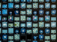 1760814275137.png 1760814275137.png