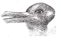 Duck-Rabbit.jpg