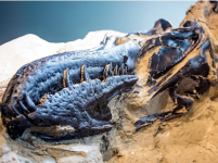 1761966337764.png 1761966337764.png