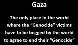 1761969064636.jpeg 1761969064636.jpeg