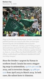 1763573823611.jpeg 1763573823611.jpeg