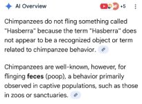 1763610236479.jpeg 1763610236479.jpeg