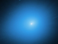 1765919252984.png 1765919252984.png