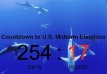 1771681969288.jpeg 1771681969288.jpeg