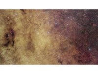 41c1d012a5a51741a6811f83918fb64029f6d9e4-e1782303305601[1].jpg