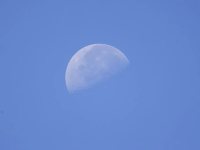 1786031269611.png