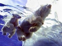 AFP-GETTY_IMAGE-scaled-e1612891955600.jpg AFP-GETTY_IMAGE-scaled-e1612891955600.jpg