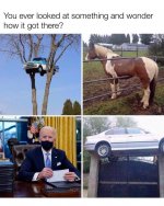 FB_IMG_1615352451252.jpg