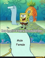 1615696649539.png