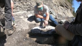 turtle-fossil-20210523.jpg