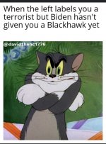 5rygr8r71gj71.jpg