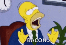 homer-simpsons-the-simpsons[1].gif