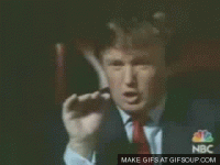 youre_fired[1].gif