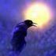 Corvus