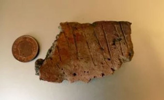 Returning to the rabbit hole the next day, the couple found large fragments of pottery believed to be part of a Bronze Age cremation urn. While such urns are not uncommon in western Wales they've never been found on any of the western Pembrokeshire islands
