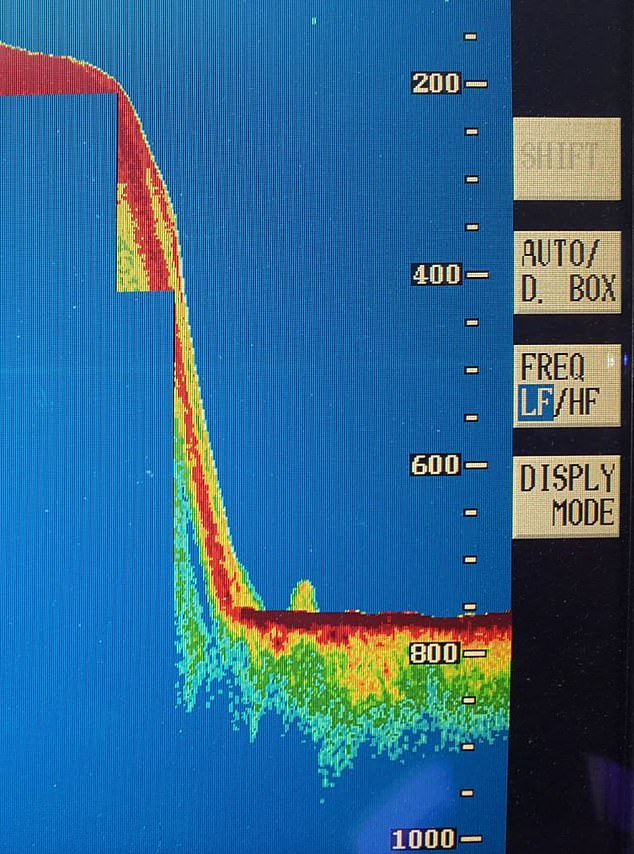 This convincing new sonar image has been unearthed which adds to the 'most compelling evidence' that the Loch Ness Monster does exist