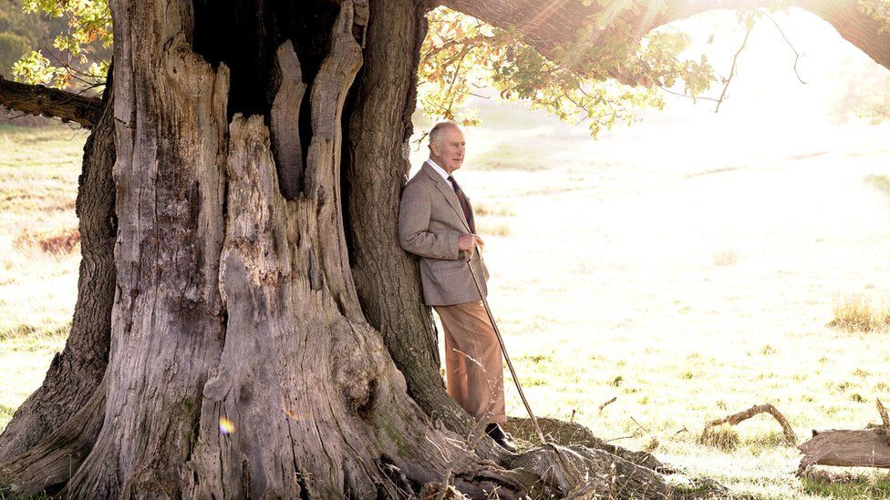 King's official 74th birthday pic