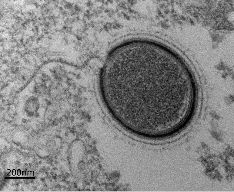 www.livescience.com