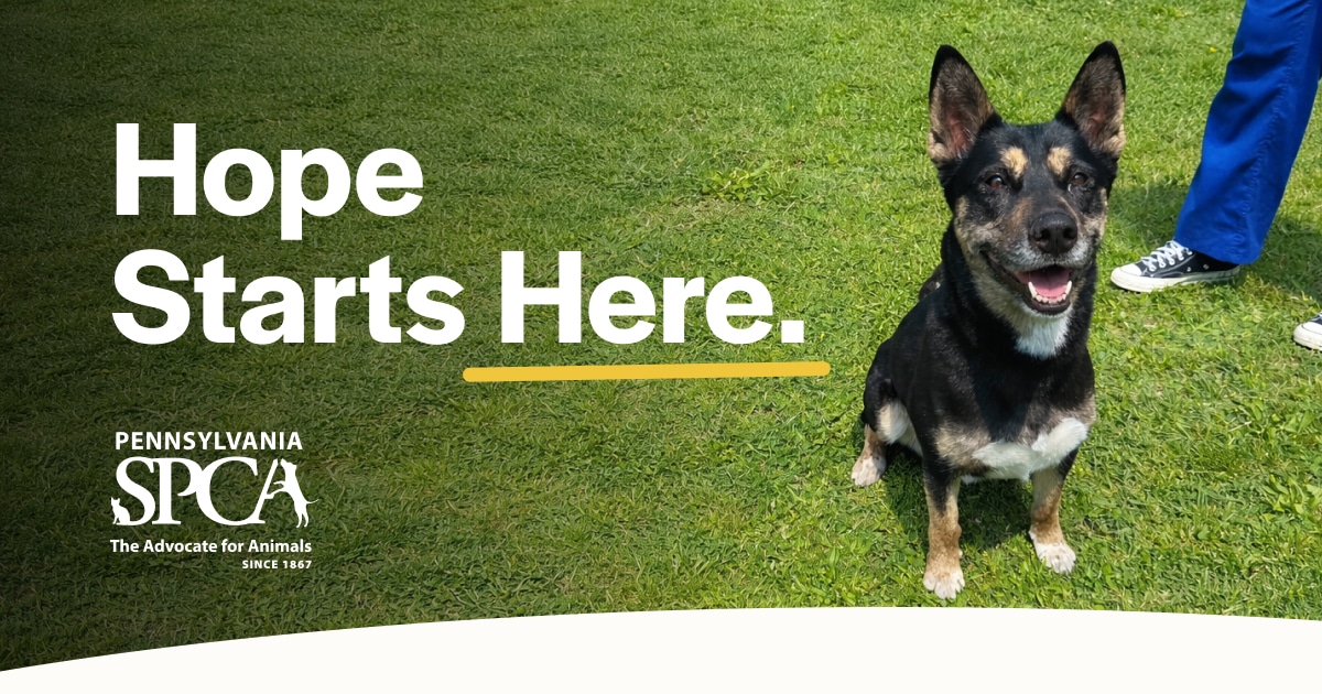 www.pspca.org