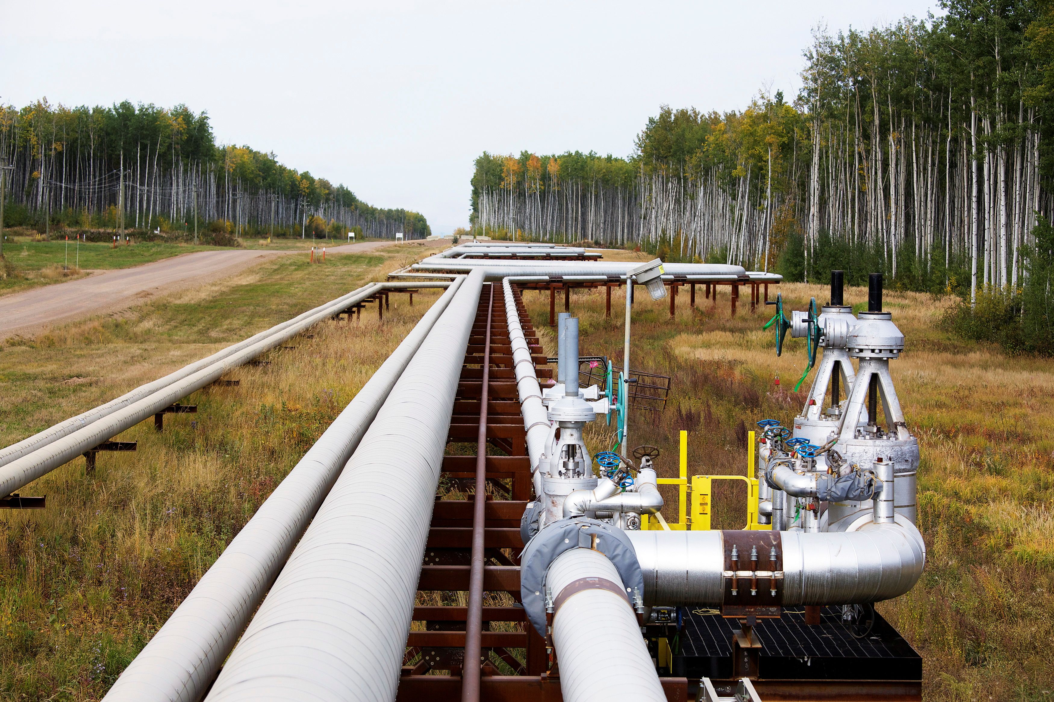 Pipelines run at the McKay River Suncor oil sands in-situ operations near Fort McMurray, Alberta, September 17, 2014. In 1967 Suncor helped pioneer the commercial development of Canada's oil sands, one of the largest petroleum resource basins in the world.  REUTERS/Todd Korol 