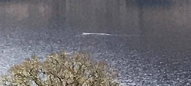 It has been accepted as the 13th sighting of Nessie this year