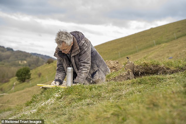 Following the latest analysis of the soil and markings, archaeologists have concluded the giant was probably first constructed in the late Saxon period, between 700 and 1100 AD, and may depict an early Anglo Saxon god known as 'Heil'