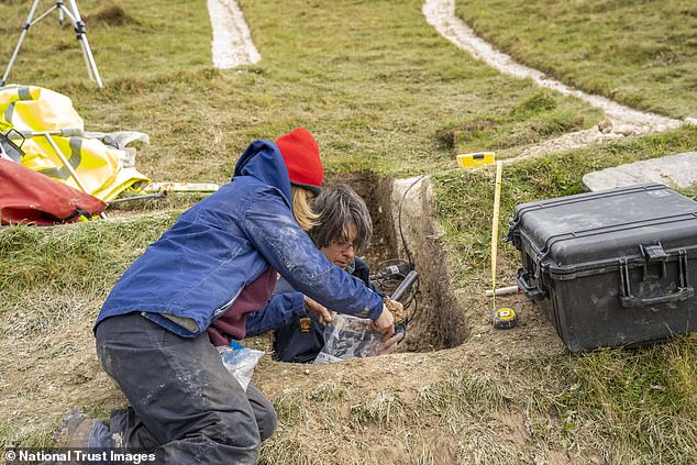 Archaeologists working for the National Trust carried out state-of-the-art sediment analysis of the 180ft naked figure brandishing a giant club to determine its age