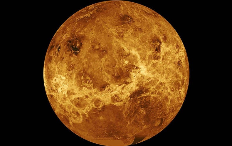 www.scientificamerican.com