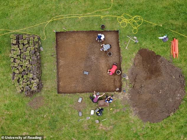 From their excavations, the archaeologists have revealed clear evidence for the layout of the monastery to which Cynethryth belonged. The site (pictured), they explained, was divided into a series of functional zones, each of which was separated by ditches. One area, for example, appears to have been used for housing — while another, based on the precense of a cluster of hearths likely used for metalworking, was probably dedicated to various industrial activities
