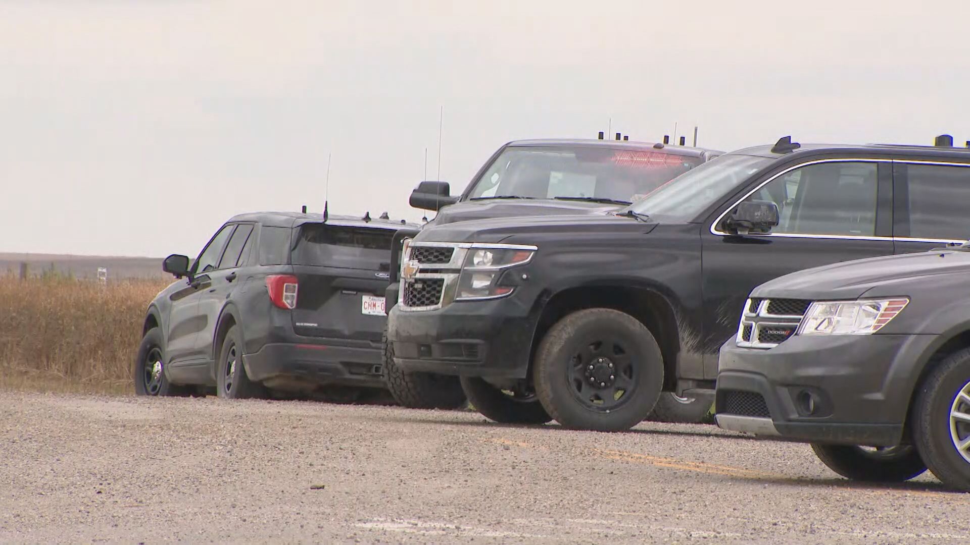 calgary.citynews.ca